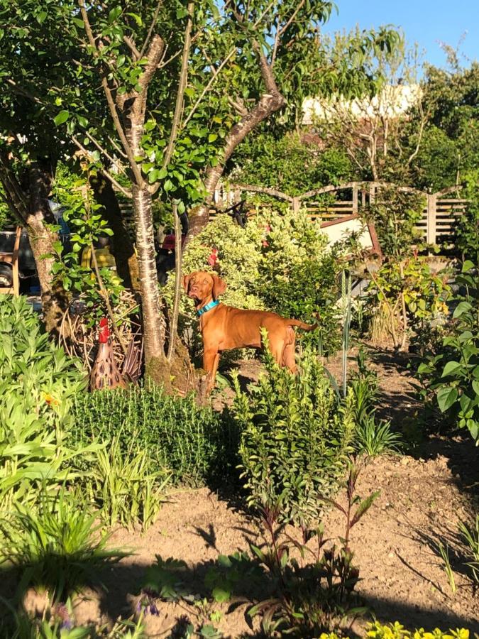 Le Cerisier Saint-Barbant Bed & Breakfast Bagian luar foto