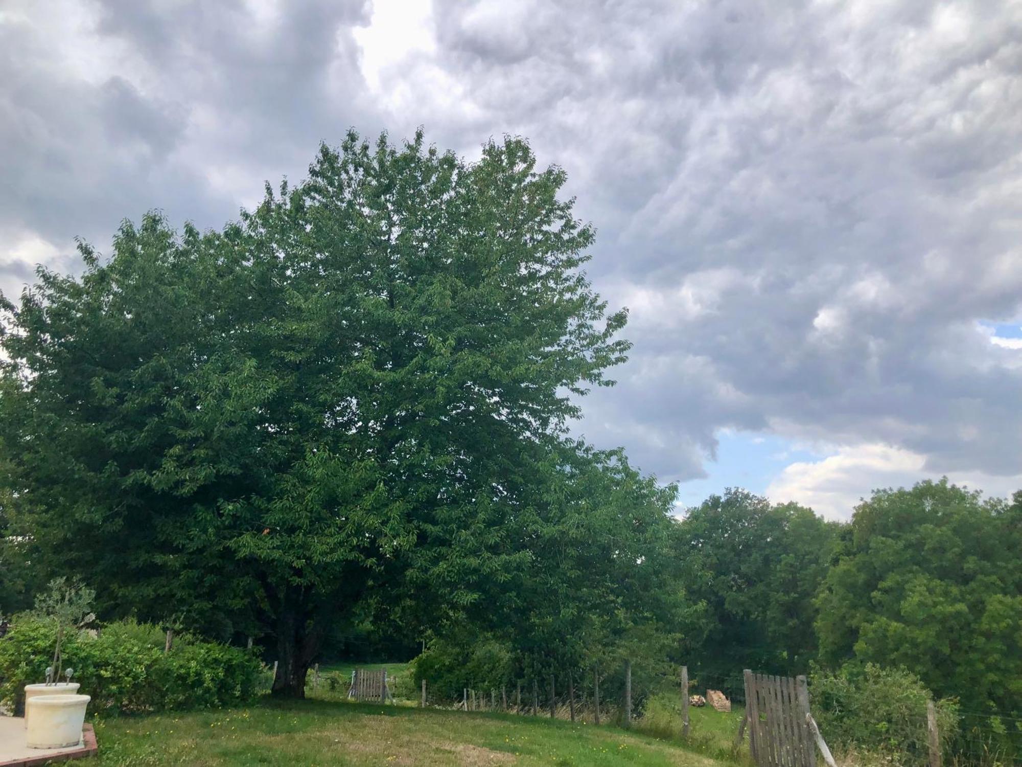 Le Cerisier Saint-Barbant Bed & Breakfast Bagian luar foto